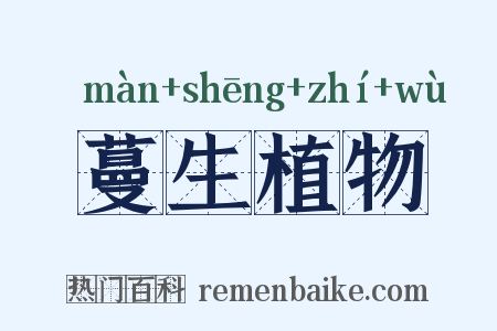 蔓生植物是什么意思的图片